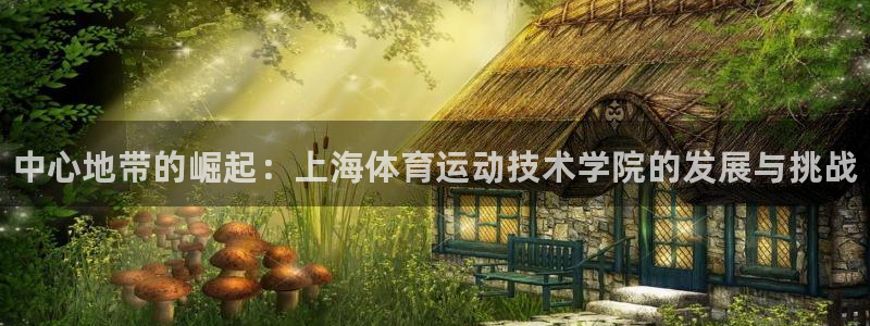 MK体育官网下载招商电话号码是多少啊：中心地带的崛起