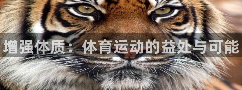 MK体育官网下载平台注册：增强体质：体育运动的益处与可能