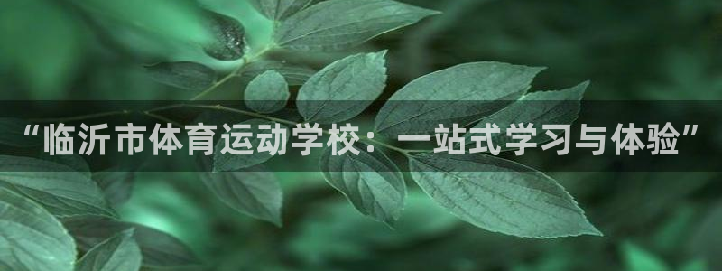 MK体育官方正版app娱乐下载：“临沂市体育运动学校