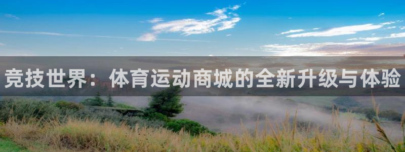 MK体育官网下载官方客服电话：竞技世界：体育运动商城