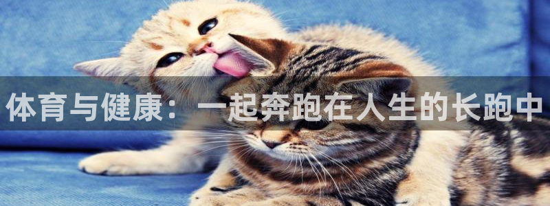 MK体育官网下载是干嘛的公司：体育与健康：一起奔跑在