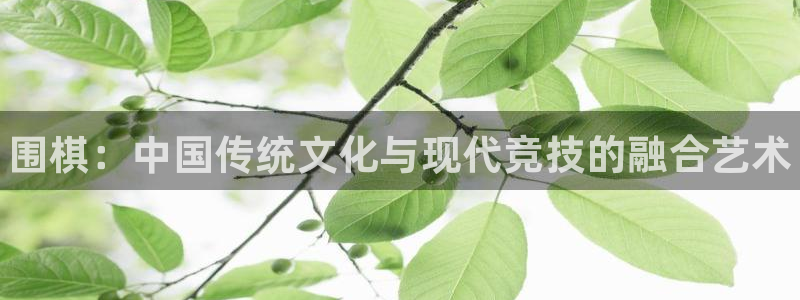 MK体育官方正版app五金厂：围棋：中国传统文化与现