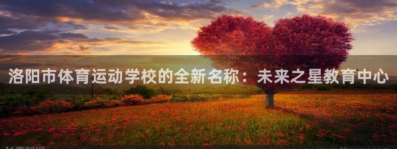 MK体育官方正版app五金厂：洛阳市体育运动学校的全