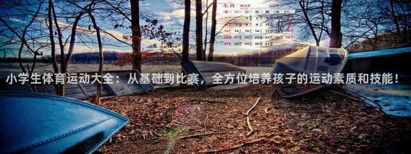 MK体育官网下载联系电话：小学生体育运动大全：从基础到比赛，