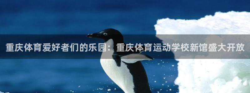 MK体育官网下载联系电话：重庆体育爱好者们的乐园：重庆体育运