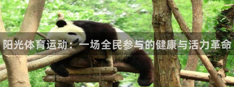MK体育官方正版app娱乐
