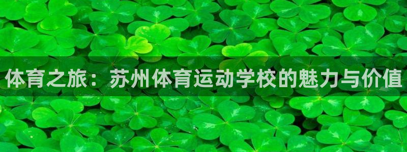 MK体育官网下载招商电话地址