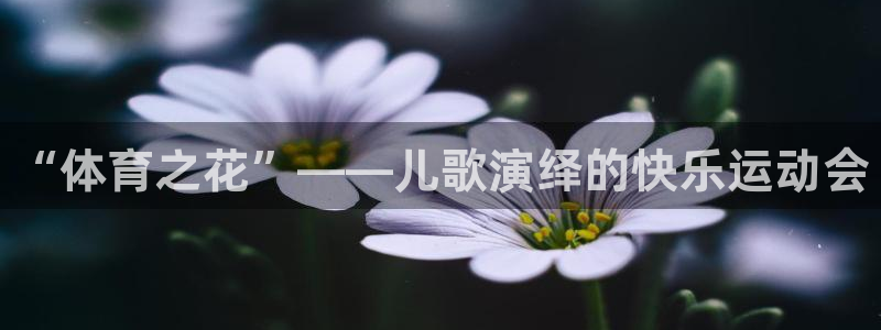 MK体育官方正版app官方：“体育之花”——儿歌演绎的快乐运