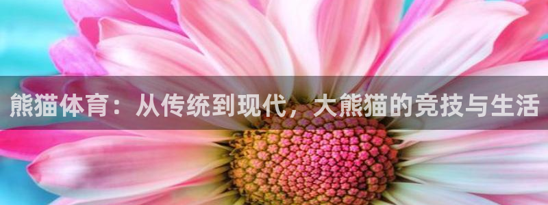 MK体育官网下载招商电话地址是多少：熊猫体育：从传统