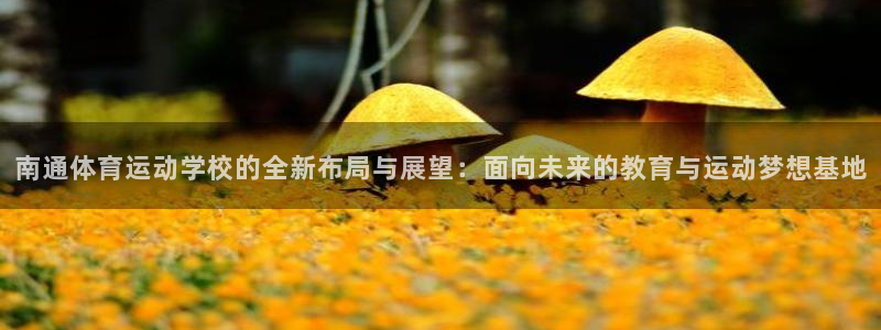 MK体育官方正版app娱乐