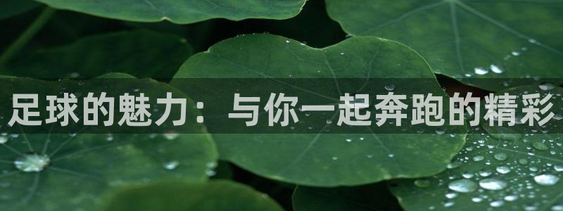 MK体育官网下载平台注册流程图：足球的魅力：与你一起