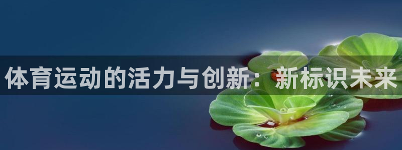 德国MK体育官方正版app集团：体育运动的活力与创新：新标识