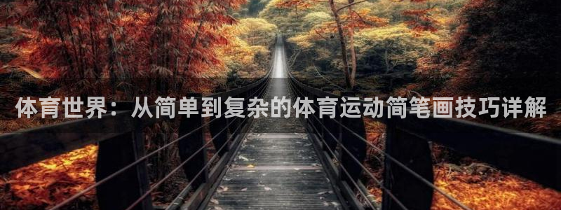 MK体育官方正版app娱乐首页官网下载：体育世界：从简单到复