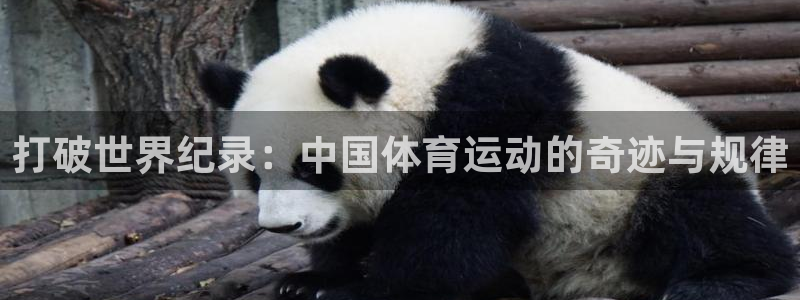 德国MK体育官方正版app集团