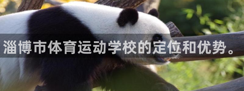 MK体育官网下载平台注册流程图：淄博市体育运动学校的定位和优