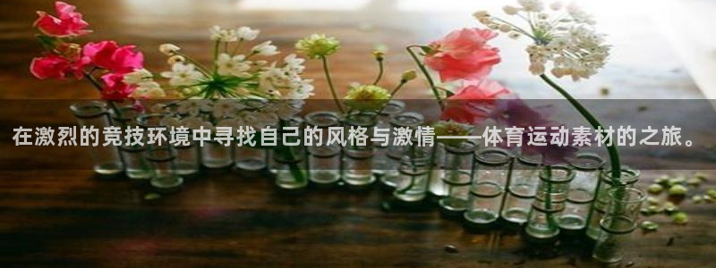 MK体育官方正版app开户：在激烈的竞技环境中寻找自己的风格