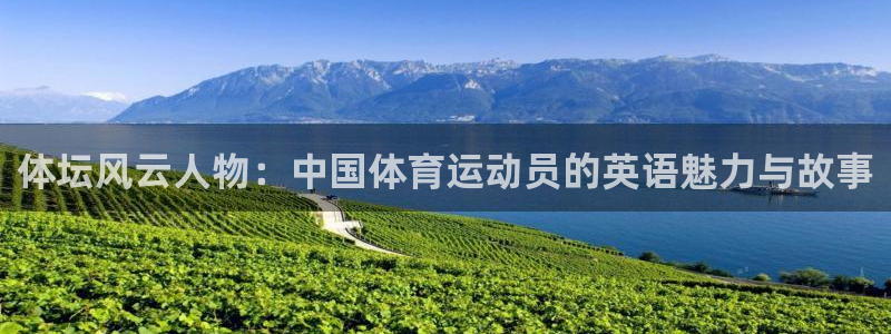 MK体育官网下载招商电话地址是多少