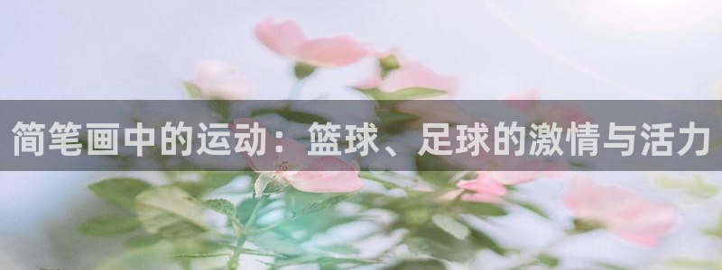 MK体育官方正版app娱乐40996：简笔画中的运动：篮球、