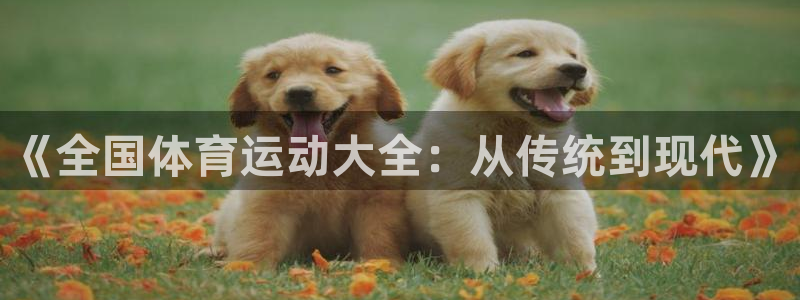 海南MK体育官网下载：《全国体育运动大全：从传统到现