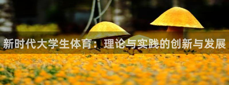 MK体育官方平台体育：新时代大学生体育：理论与实践的创新与发