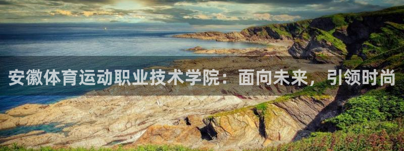 MK体育官方正版app娱乐是那个系列的台子：安徽体育运动职业
