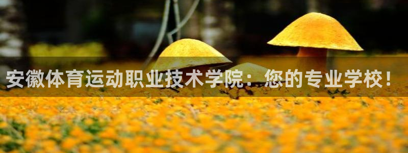 MK体育官网下载平台注册：安徽体育运动职业技术学院：您的专业