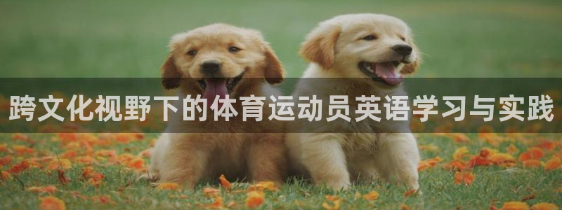 MK体育官网下载平台注册要钱吗是真的吗：跨文化视野下