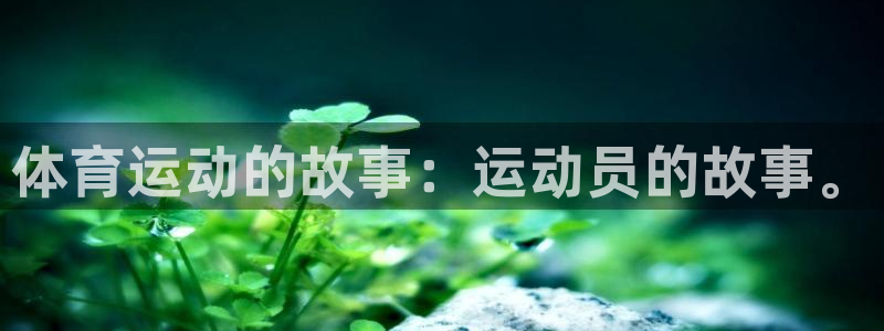 MK体育官网下载招商电话号码：体育运动的故事：运动员