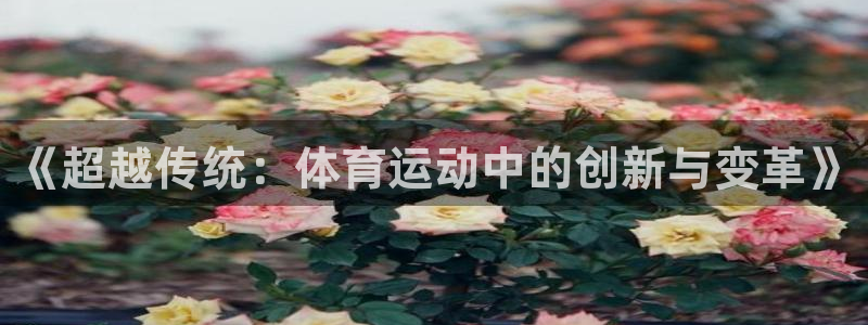 mk体育是黑台子吗是真的吗