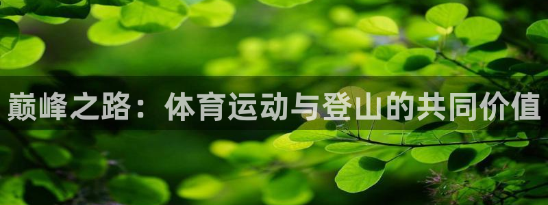 mk体育为什么这么黑