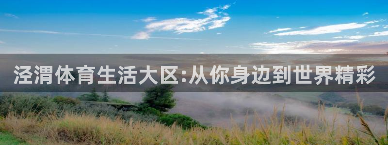 mk体育官网入口